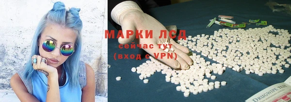 стаф Приозерск