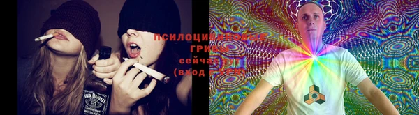 синтетический гашиш Белокуриха