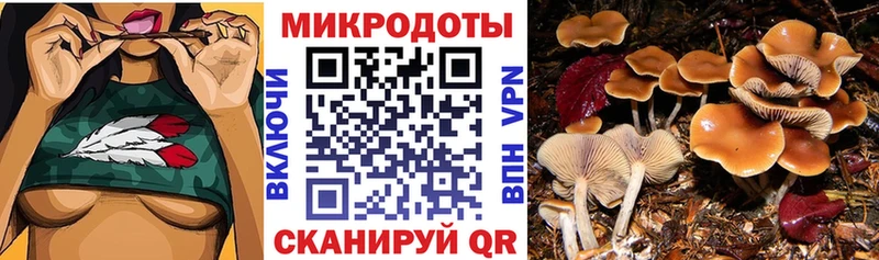 Псилоцибиновые грибы Psilocybine cubensis  купить  сайты  МЕГА зеркало  Еманжелинск 